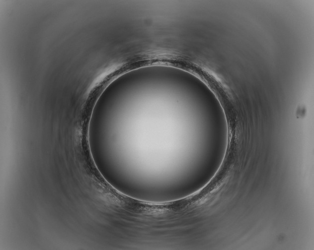 X0000091501309200708161450
