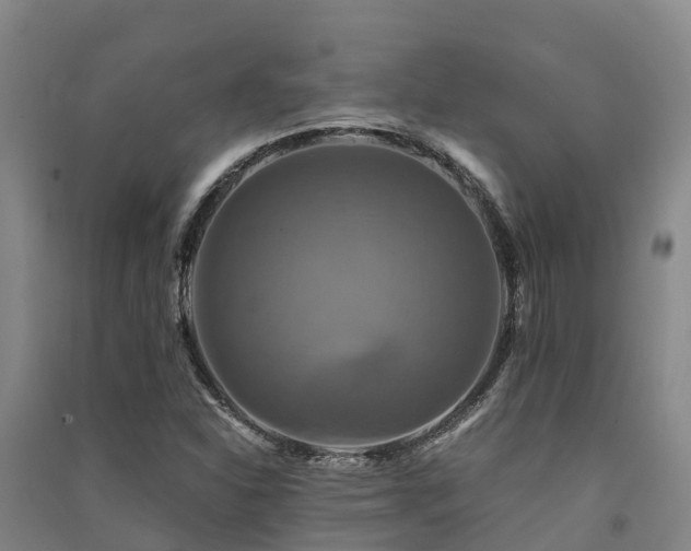 X0000091501310200708161450