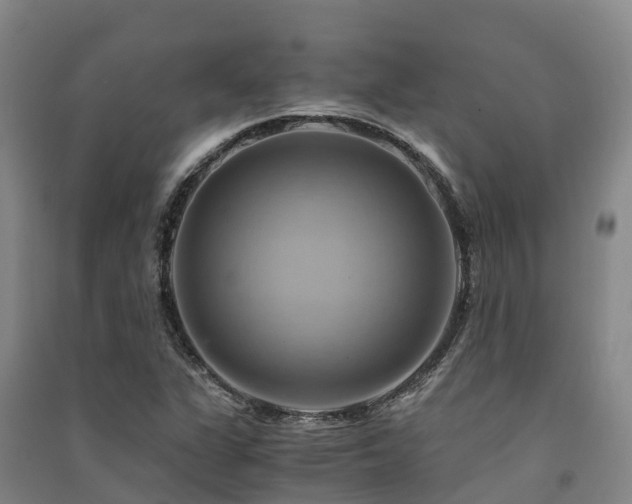 X0000091501311200708161450