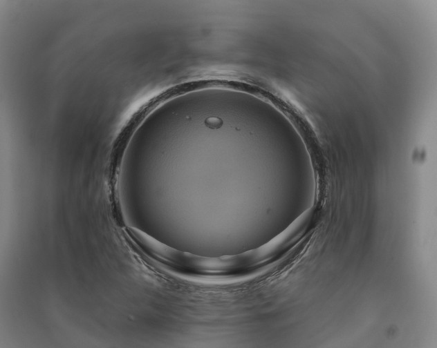 X0000091501312200708161450