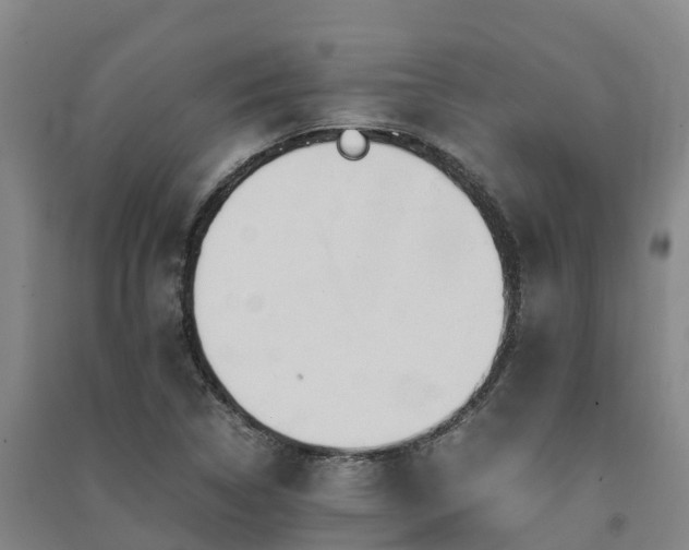 X0000091501314200708161450