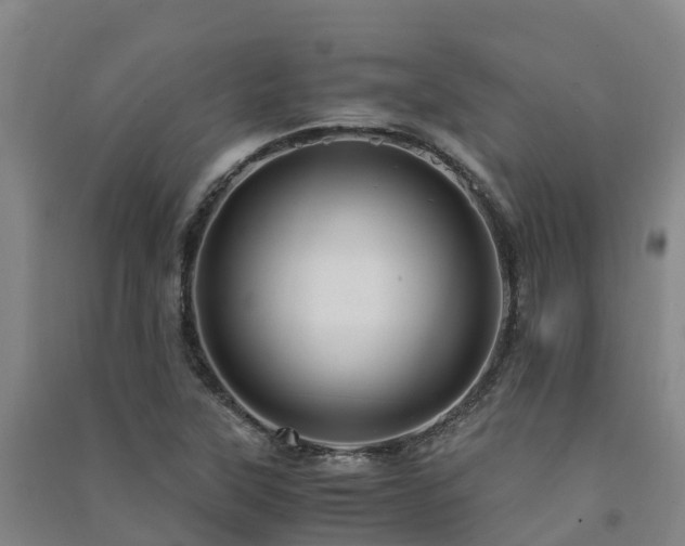 X0000091501315200708161450