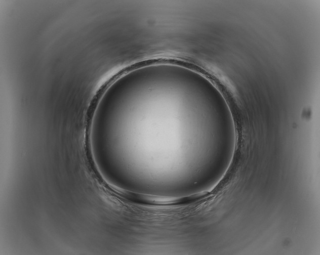 X0000091501316200708161450