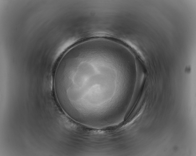 X0000091501317200708161450