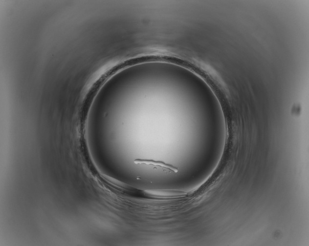 X0000091501318200708161451