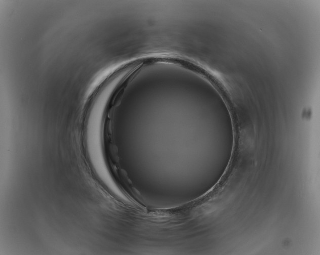 X0000091501319200708161451