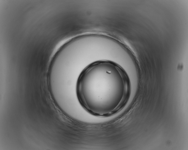 X0000091501320200708161451