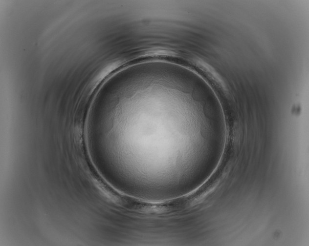 X0000091501321200708161451