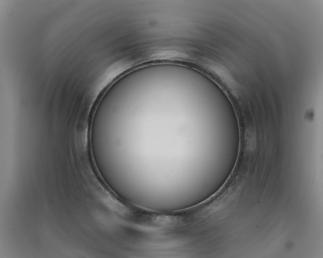 X0000091501322200708161451