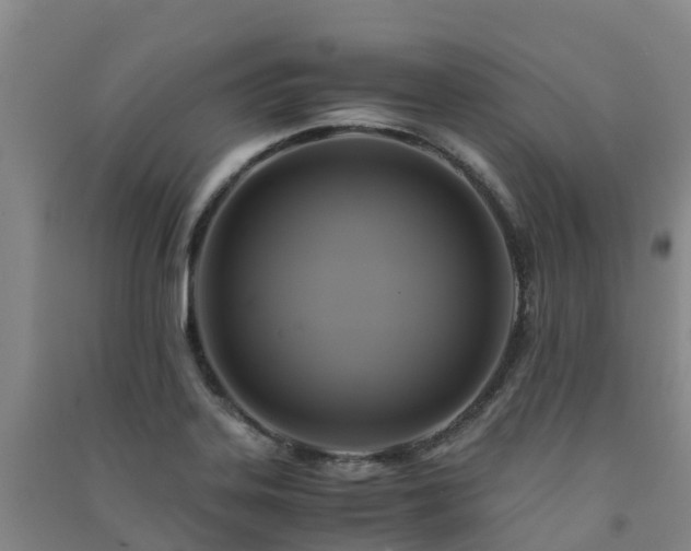 X0000091501323200708161451