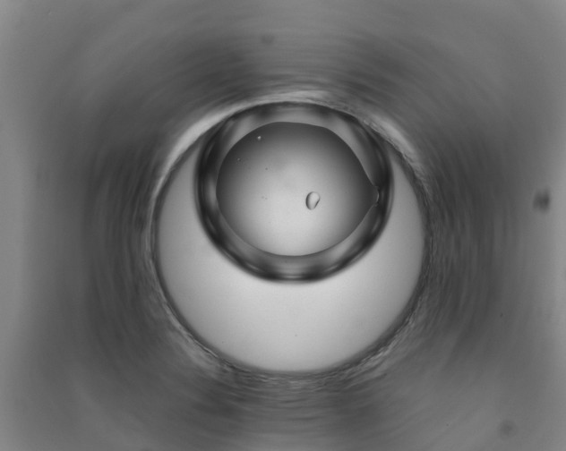 X0000091501324200708161451