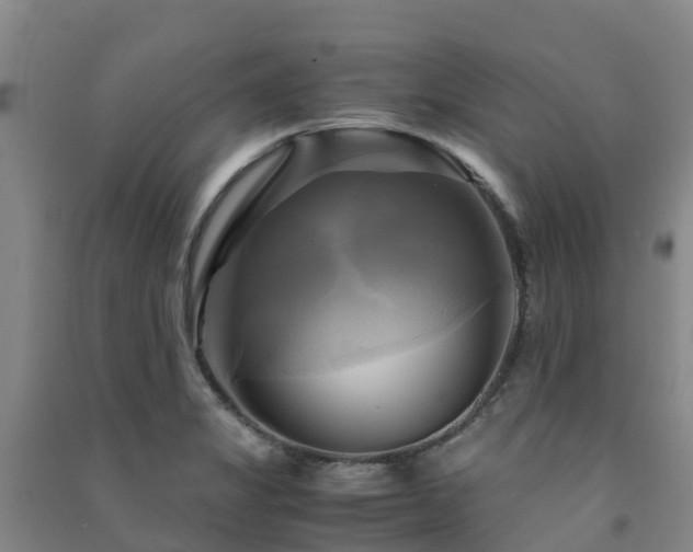 X0000091501325200708161451