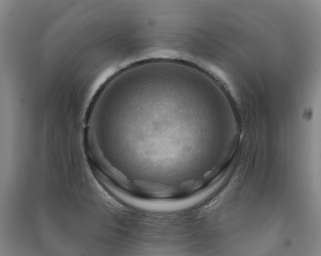 X0000091501326200708161451