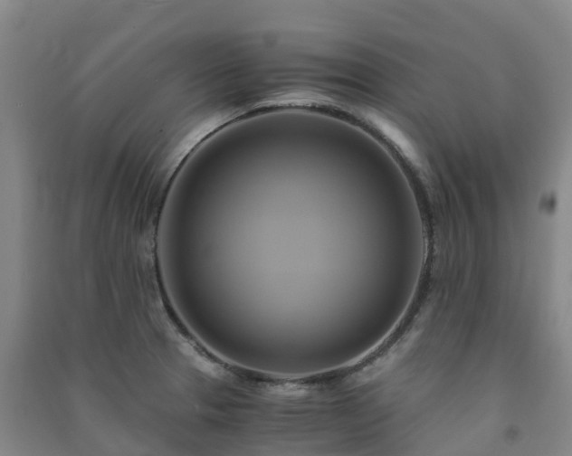 X0000091501329200708161451