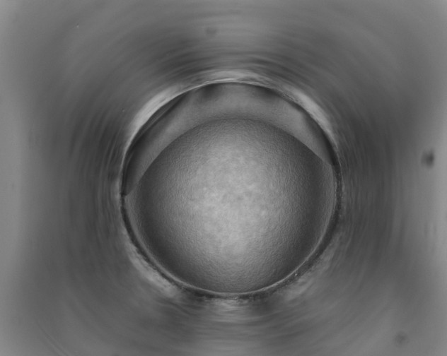 X0000091501330200708161451