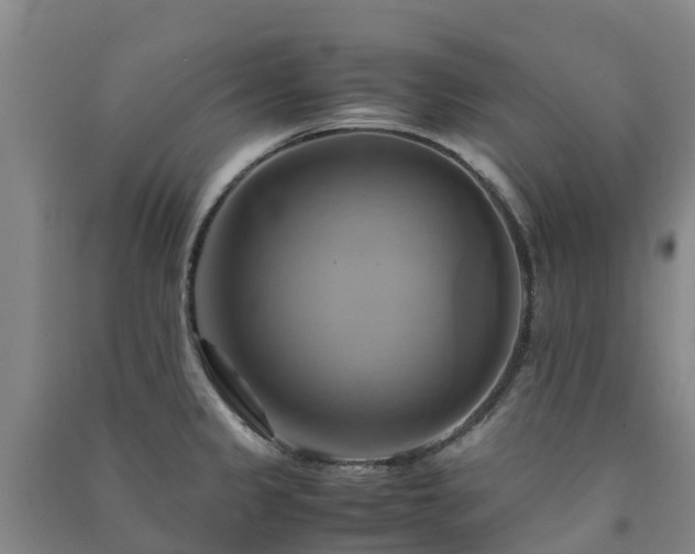 X0000091501333200708161451
