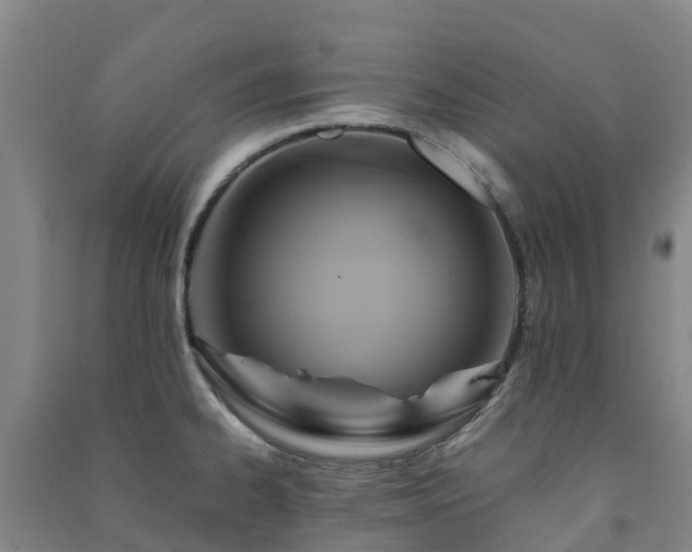 X0000091501334200708161451