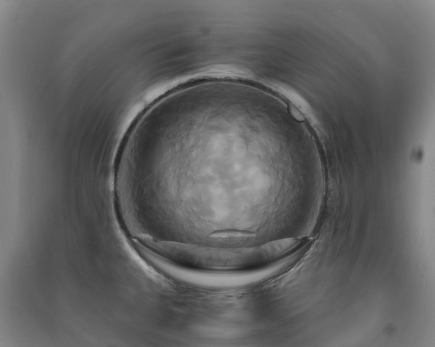 X0000091501335200708161451