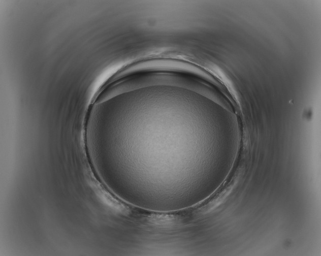 X0000091501336200708161451