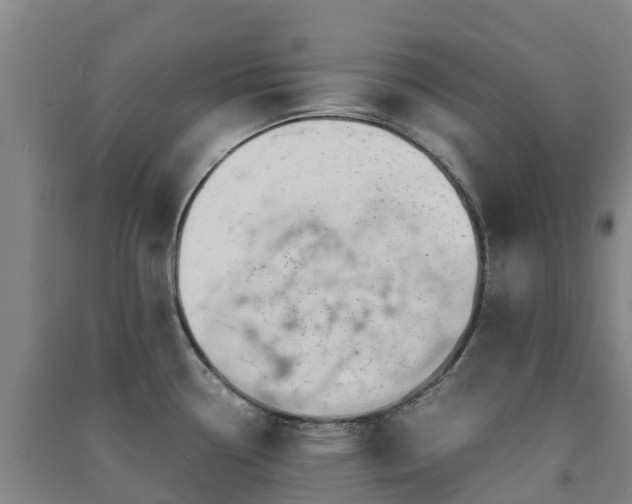 X0000091501338200708161451