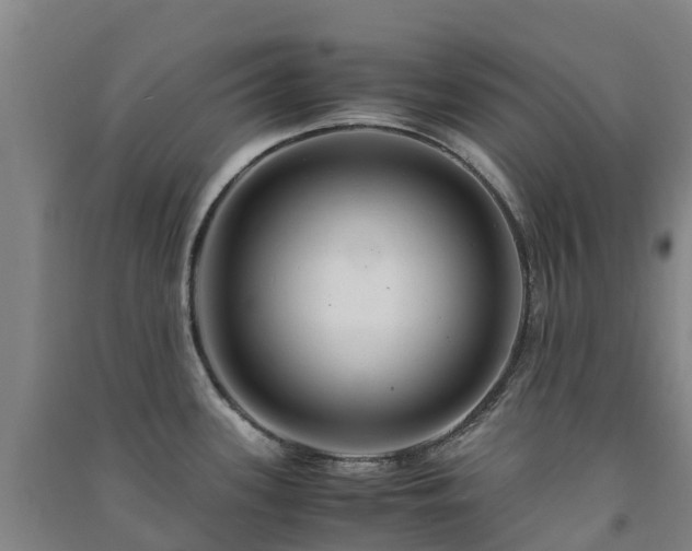 X0000091501339200708161451