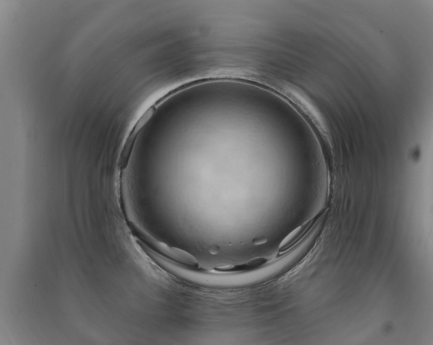 X0000091501340200708161451