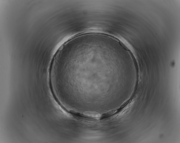 X0000091501341200708161451