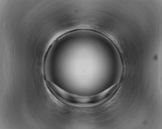 X0000091501342200708161451