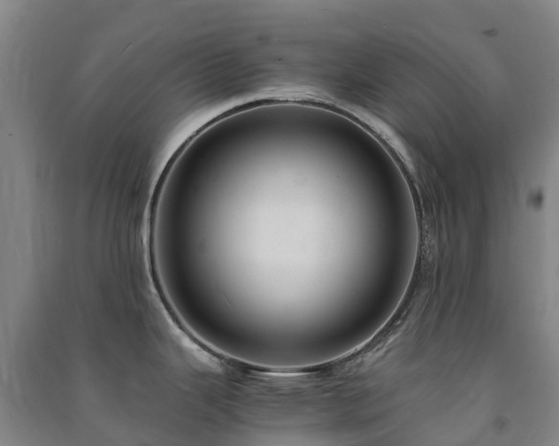 X0000091501343200708161451