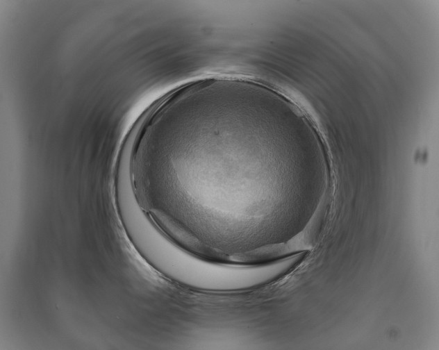 X0000091501344200708161451