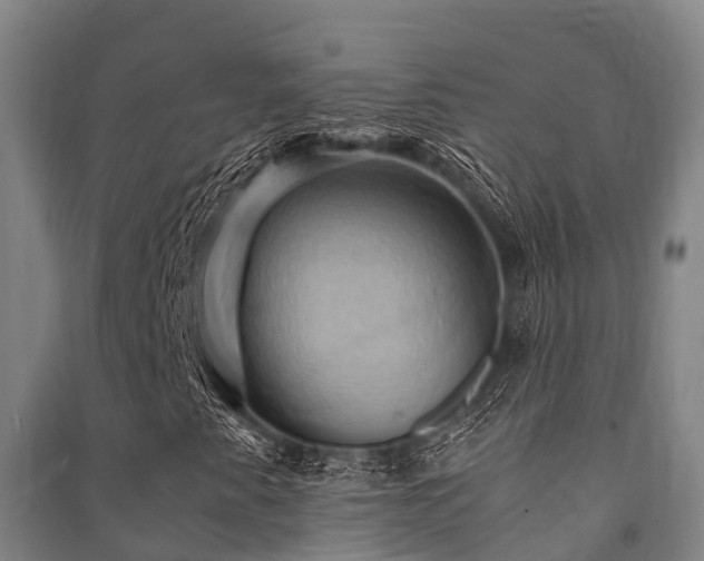 X0000091501345200708161450