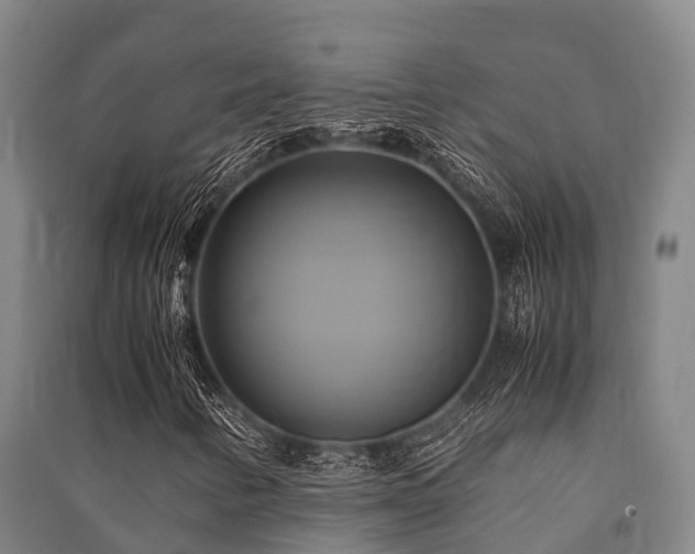 X0000091501346200708161450