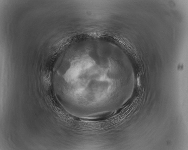 X0000091501347200708161450