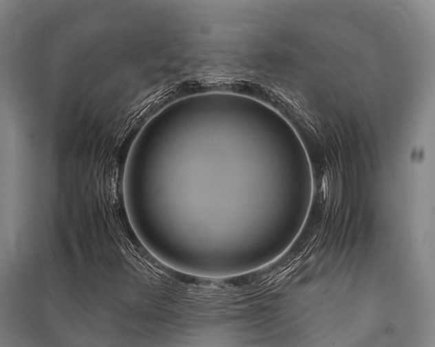 X0000091501348200708161450