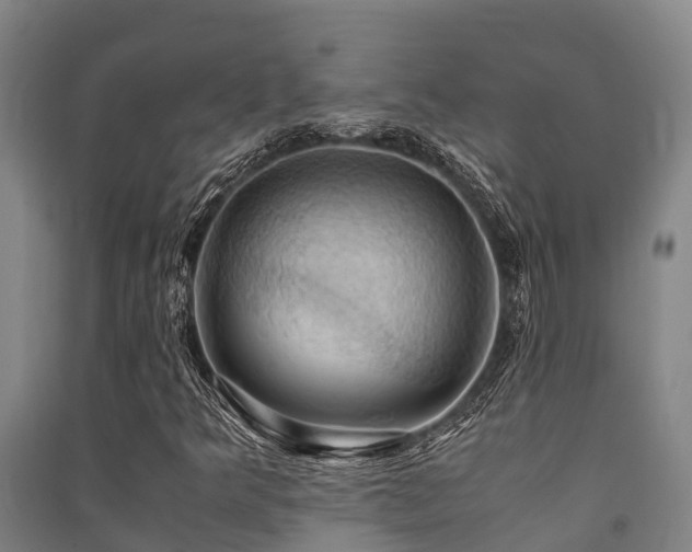 X0000091501349200708161450