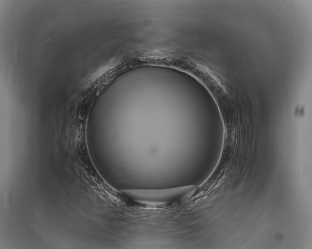 X0000091501350200708161450
