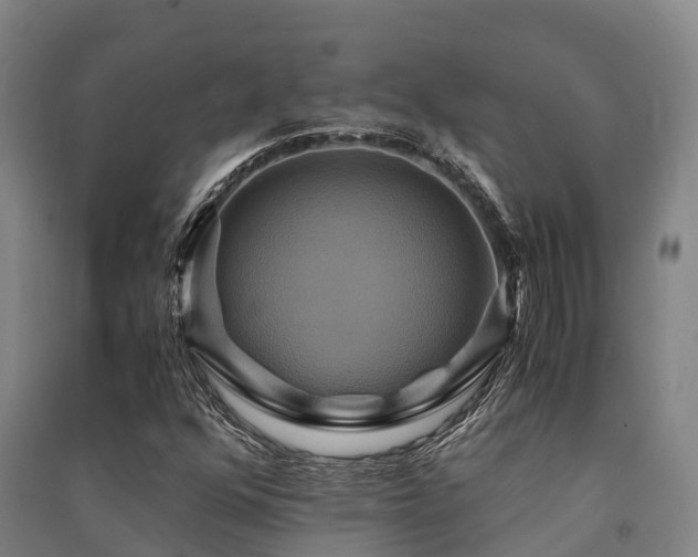 X0000091501352200708161450