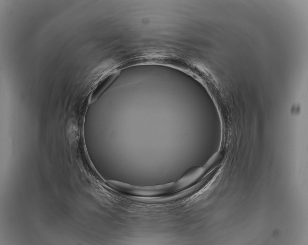 X0000091501353200708161450