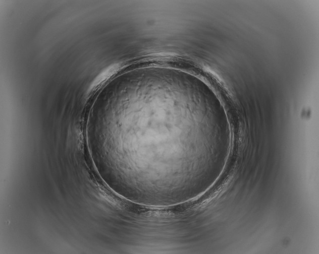 X0000091501354200708161450