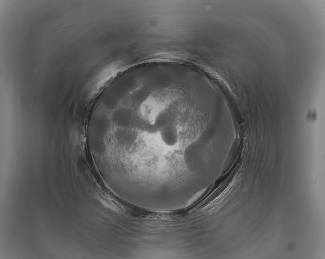X0000091501355200708161450