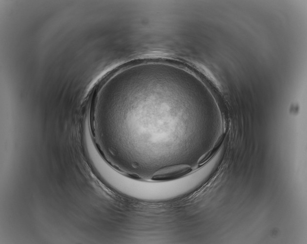 X0000091501356200708161450