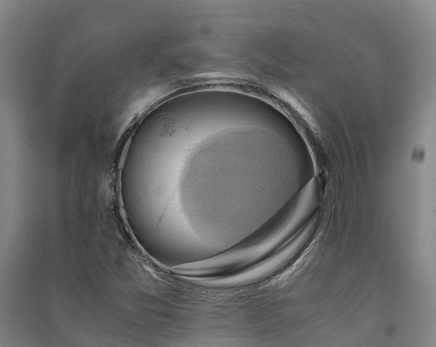 X0000091501357200708161450