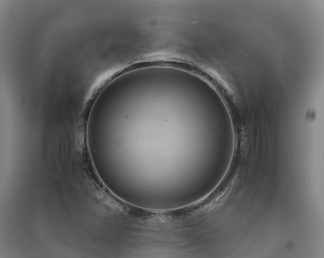 X0000091501358200708161450