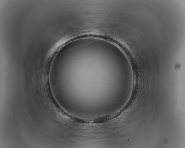 X0000091501359200708161450