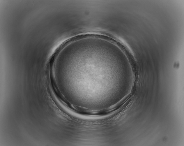 X0000091501360200708161450