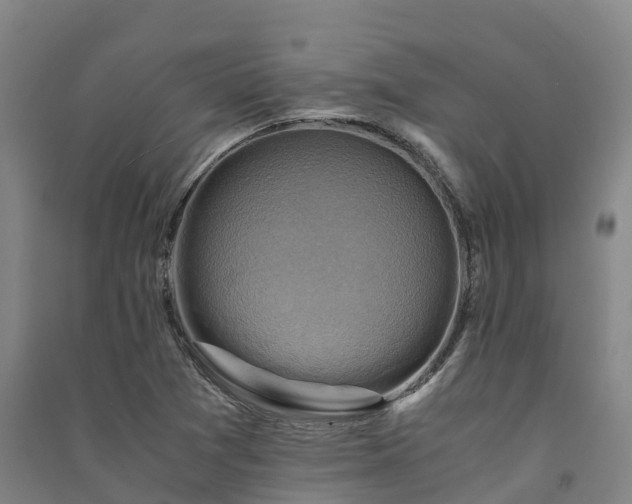X0000091501361200708161450