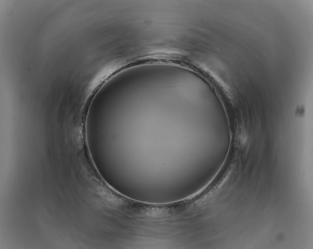 X0000091501362200708161450