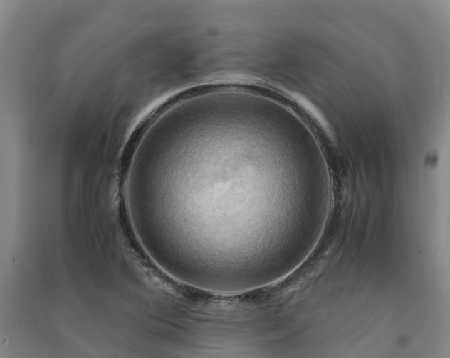 X0000091501364200708161450