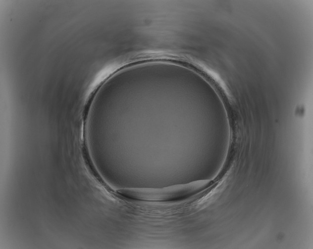 X0000091501365200708161450
