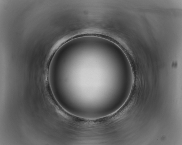 X0000091501366200708161450